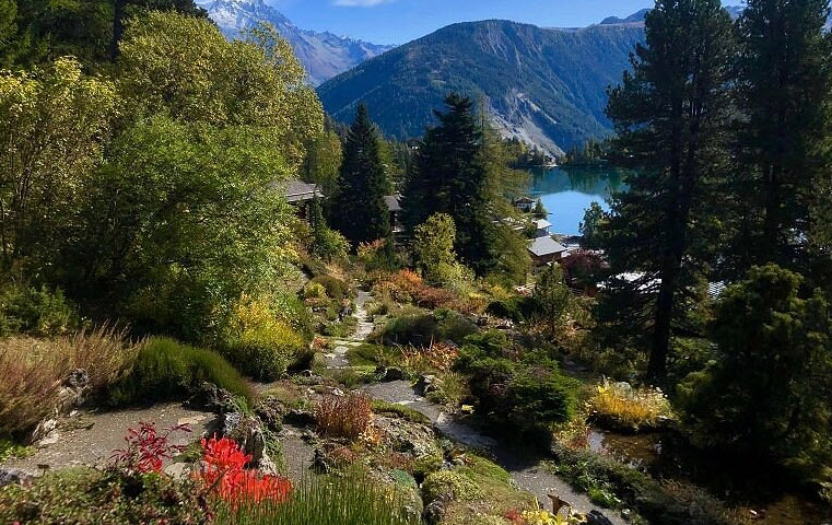 Alpin Flore-Alpe Botanical Garden, Orsières, Switzerland, Switzerland